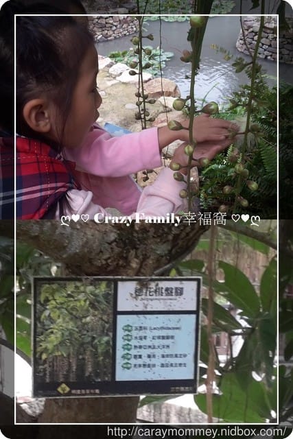 ├ 家庭出遊去 ┤【宜蘭】礁溪泡湯半日遊 - 第9張圖 ├ 家庭出遊去 ┤【宜蘭】礁溪泡湯半日遊
