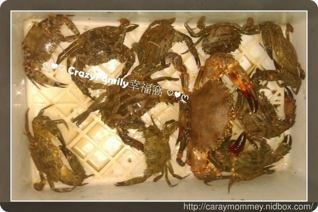 ღ♥♡ 2016-1203 ♡♥ღ 煮夫料理之螃蟹海鮮鍋