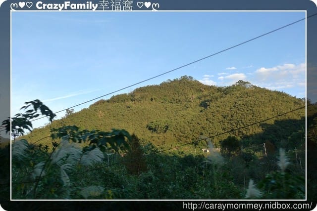 ├ 家庭出遊去 ┤ 三峽+拉拉山半日遊
