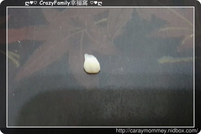 Xenia的乳牙記錄：左上, 側門牙
