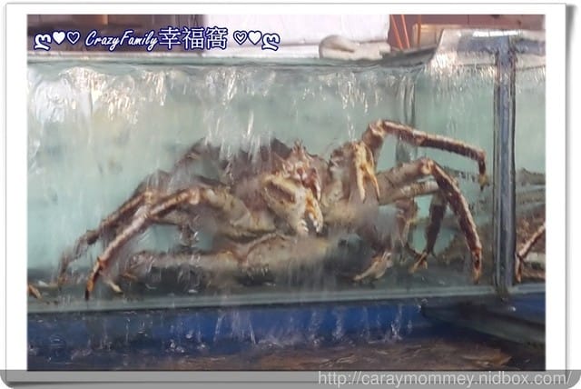 ├ 家庭相聚歡 ┤ 南寮漁港 + 姑姑家