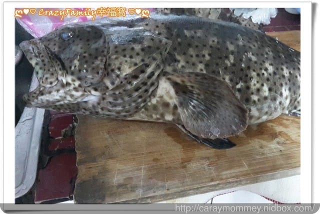 ├ 家庭出遊去 ┤ 海邊抓魚抓蟹趣