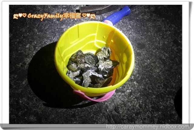 ├ 家庭出遊去 ┤ 海邊抓魚抓蟹趣