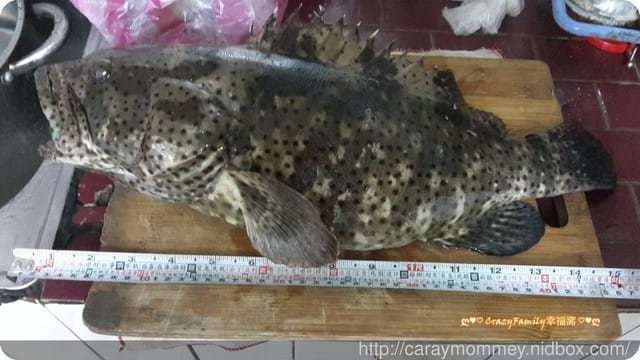 ├ 家庭出遊去 ┤ 海邊抓魚抓蟹趣
