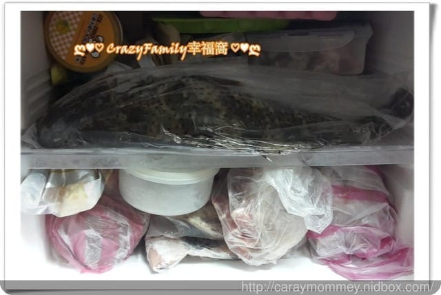├ 家庭出遊去 ┤ 海邊抓魚抓蟹趣