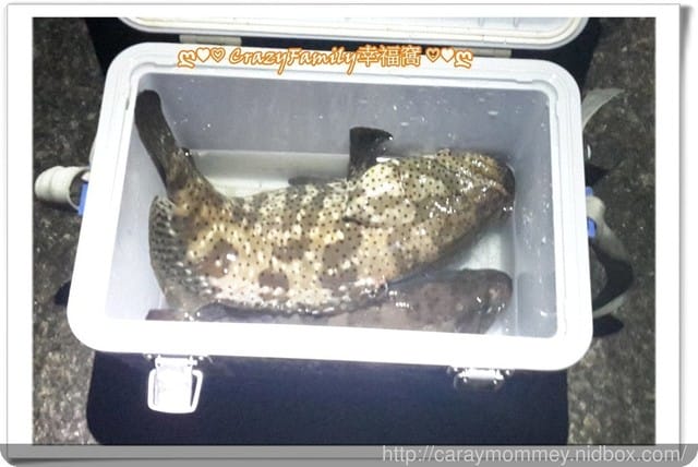 ├ 家庭出遊去 ┤ 海邊抓魚抓蟹趣