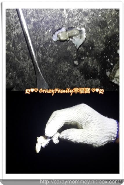 ├ 家庭出遊去 ┤ 海邊抓魚抓蟹趣