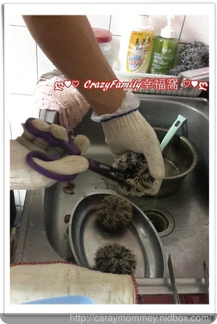 ├ 家庭出遊去 ┤元旦瘋狂玩樂