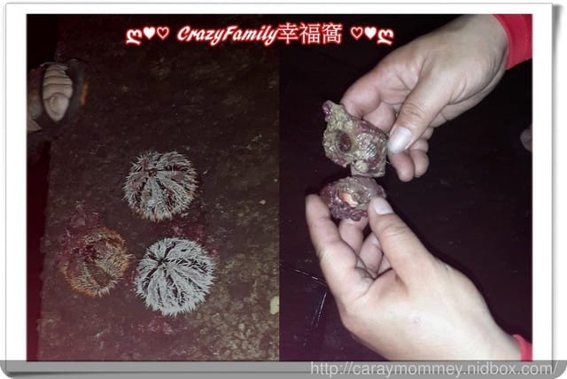 ├ 家庭出遊去 ┤元旦瘋狂玩樂