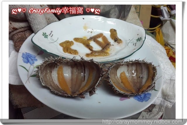 ├ 家庭出遊去 ┤元旦瘋狂玩樂