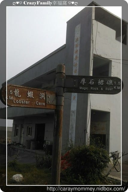 Lingo 流浪去 - 第3張圖 Lingo 流浪去