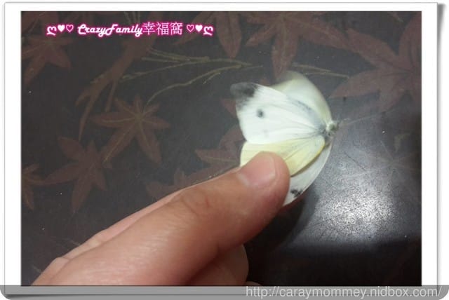 寵物長大了 - 第3張圖 寵物長大了