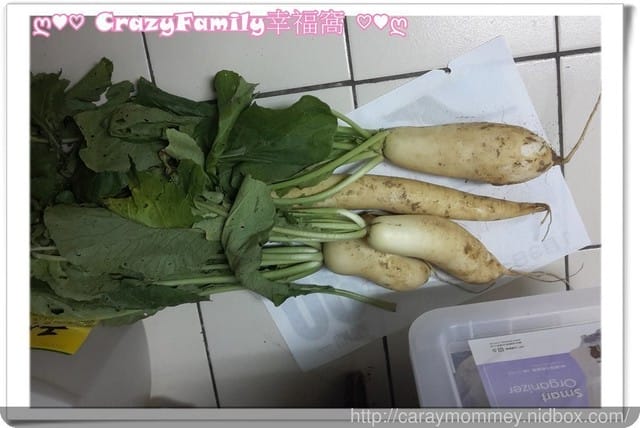 ├ 新春家族遊 ┤ 新埔開心農場