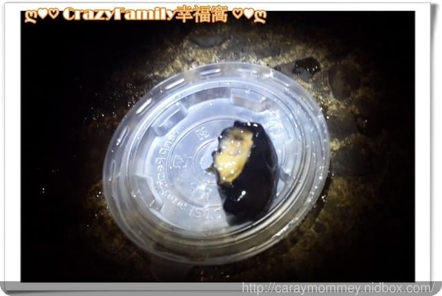 潮間帶豐富資源生態學習 - 第7張圖 潮間帶豐富資源生態學習