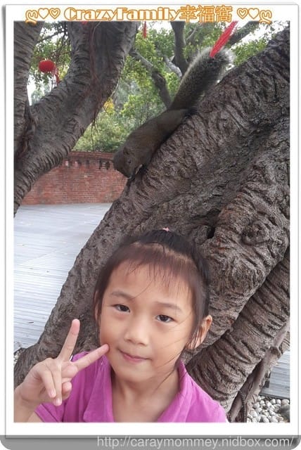 文藝行之保安宮 + 孔廟 - 第11張圖 文藝行之保安宮 + 孔廟