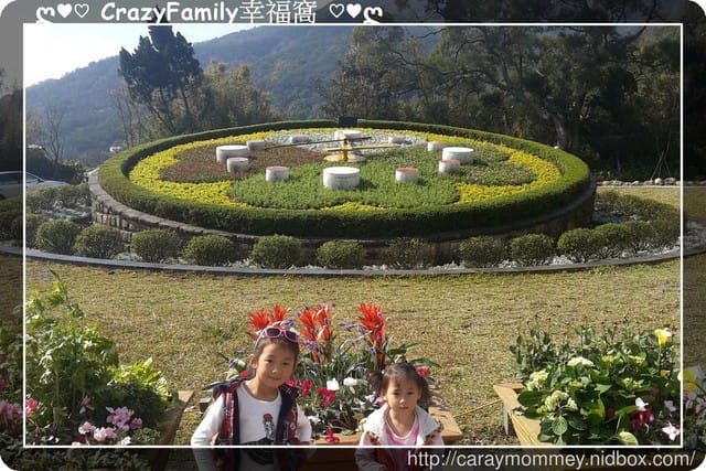 草山賞花搶先看