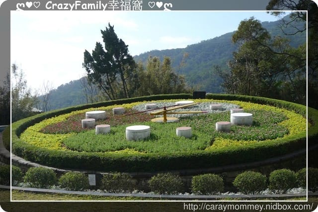 草山賞花搶先看