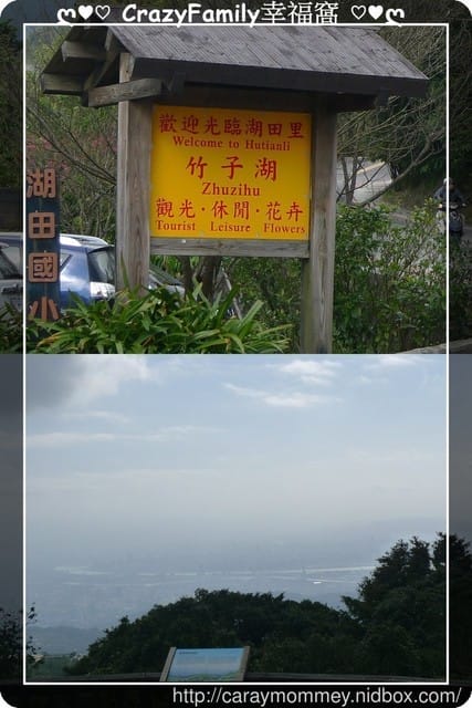 草山賞花搶先看