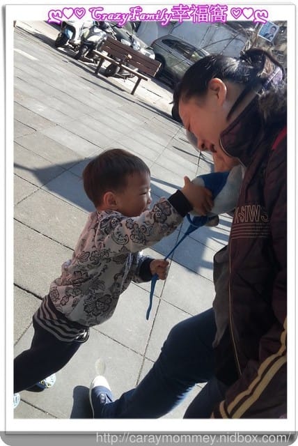 ├ 龍寶玩樂趣 ┤ 龍寶相聚歡