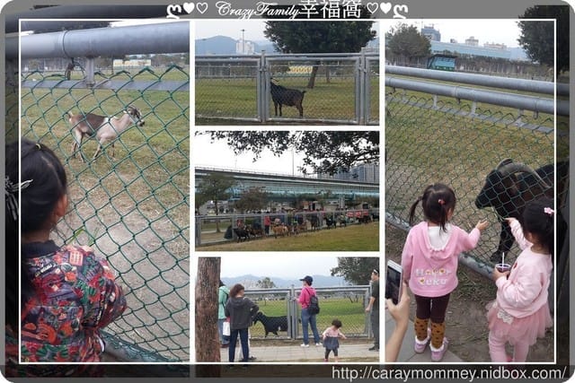 ├ 媽寶趴趴走 ┤ 浮洲騎車兜風趣