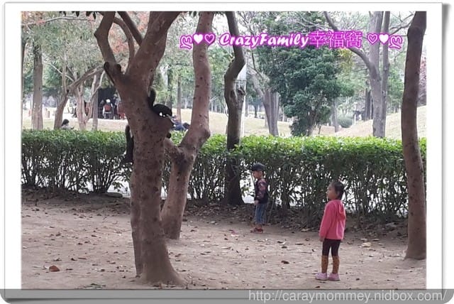 ├ 媽寶趴趴走 ┤ 八二三公園放風趣(原六號公園)