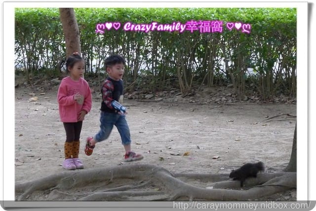 ├ 媽寶趴趴走 ┤ 八二三公園放風趣(原六號公園)