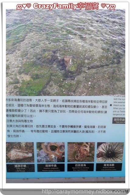 ├ 家庭趴趴走 ┤ 基隆半日遊 - 第10張圖 ├ 家庭趴趴走 ┤ 基隆半日遊