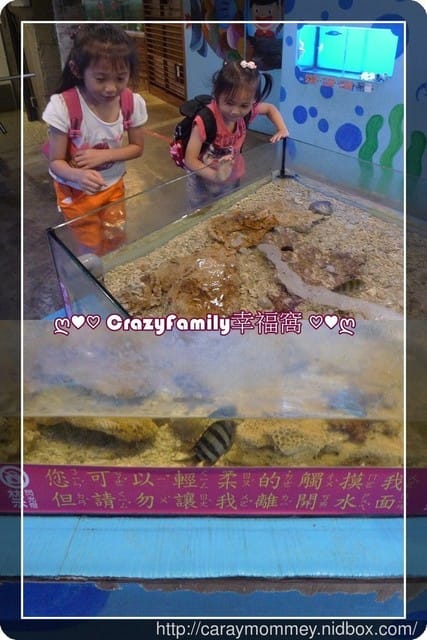 ├ 媽寶玩樂趣 ┤【花蓮】柴魚博物館 + DIY體驗