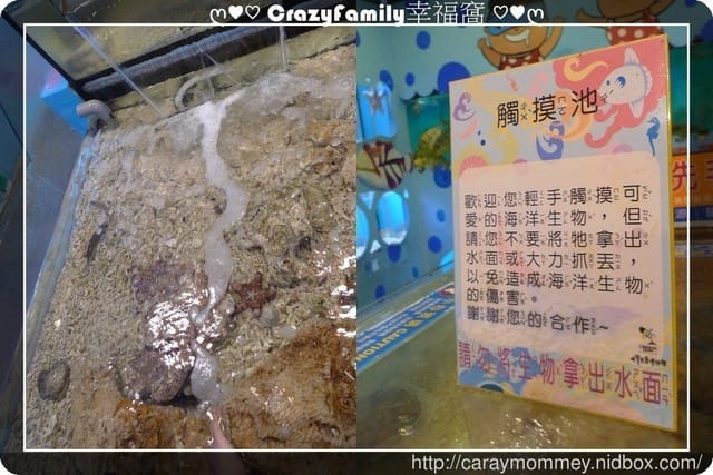├ 媽寶玩樂趣 ┤【花蓮】柴魚博物館 + DIY體驗