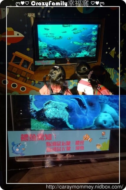 ├ 媽寶玩樂趣 ┤【花蓮】柴魚博物館 + DIY體驗