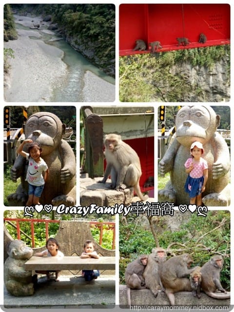 ├ 家庭旅行去 ┤ 2017慢步調的台東之旅Day 2台東深度旅遊