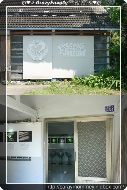 ◇○旅遊景點 ○◇【台東】新東糖廠文化園區（都蘭糖廠）