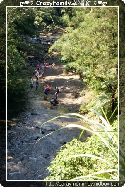 ├ 家庭戲水趣 ┤ 夏天到戲水趣 - 第5張圖 ├ 家庭戲水趣 ┤ 夏天到戲水趣