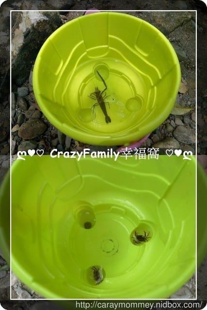 ├ 家庭戲水趣 ┤ 夏天到戲水趣 - 第18張圖 ├ 家庭戲水趣 ┤ 夏天到戲水趣