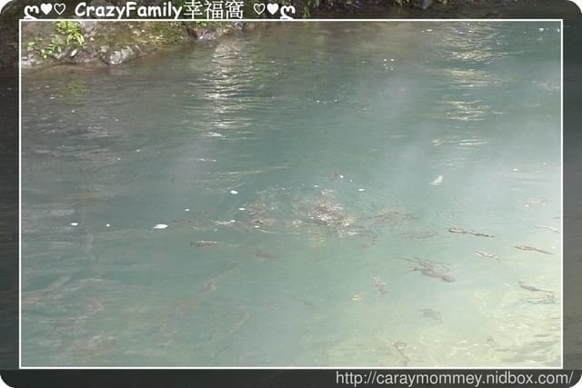 ├ 家庭戲水趣 ┤ 夏天到戲水趣 - 第16張圖 ├ 家庭戲水趣 ┤ 夏天到戲水趣