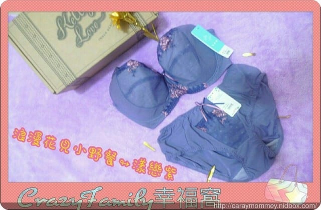 美麗分享¢優質大尺碼內衣凱莉愛內衣KellyLove開箱分享 - 第14張圖 美麗分享¢優質大尺碼內衣凱莉愛內衣KellyLove開箱分享