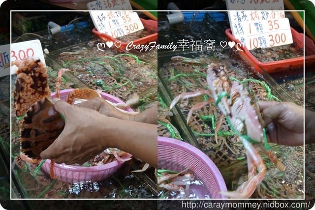 ☆★♨美食饗宴♨★☆【桃園大園】CP值破表秋蟹 - 第5張圖 ☆★♨美食饗宴♨★☆【桃園大園】CP值破表秋蟹