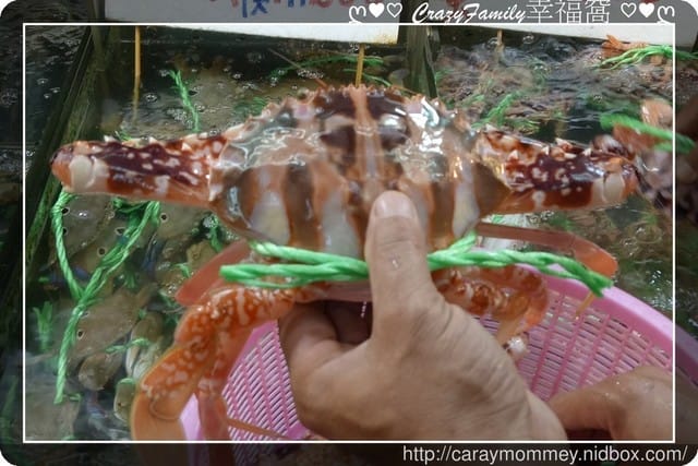 ☆★♨美食饗宴♨★☆【桃園大園】CP值破表秋蟹 - 第7張圖 ☆★♨美食饗宴♨★☆【桃園大園】CP值破表秋蟹