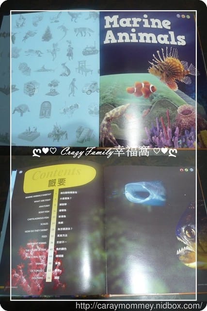 ● 育兒生活 ● 不用再擔心孩子整天問為什麼?有了大新書局的學習圖書館 Learning Library陪伴小孩省事多了! - 第6張圖 ● 育兒生活 ● 不用再擔心孩子整天問為什麼?有了大新書局的學習圖書館 Learning Library陪伴小孩省事多了!