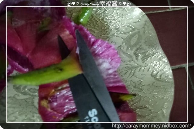 新料理 α 火龍果煎蛋