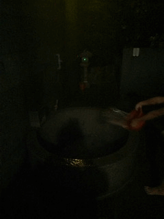 ├ 家族輕旅行 ┤ 東一排骨+ 馬槽花藝村泡湯