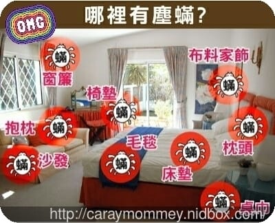 ★快來免費預約★ 免費到府除螨服務【歐洲】Aura Roboclean 多功能除螨空氣清淨機　帶給您眼界不同的感官啊！