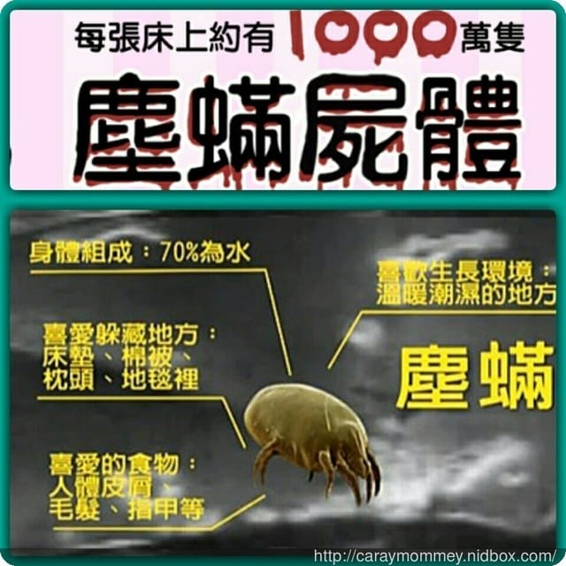 ★快來免費預約★ 免費到府除螨服務【歐洲】Aura Roboclean 多功能除螨空氣清淨機　帶給您眼界不同的感官啊！