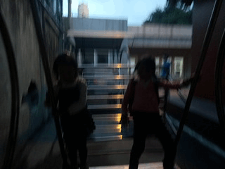 ├ 家族趴趴走 ┤ 洪福宫 + 竹圍吃海鮮
