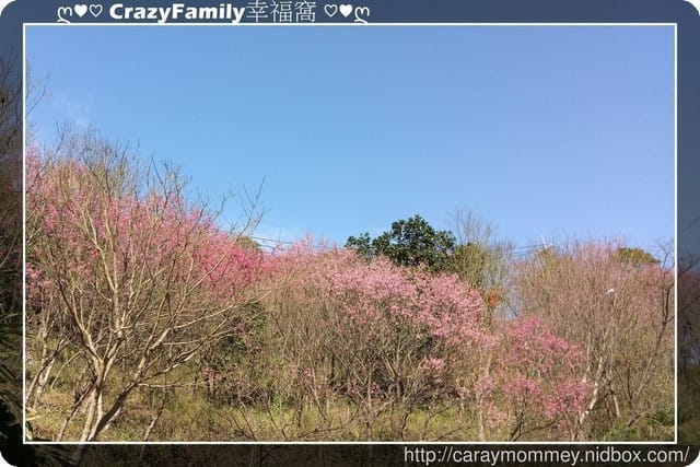 ├ 家庭賞花行 ┤冬末賞花行