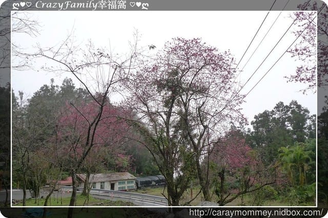 ├ 家庭出遊去 ┤北橫趴趴走 - 第23張圖 ├ 家庭出遊去 ┤北橫趴趴走