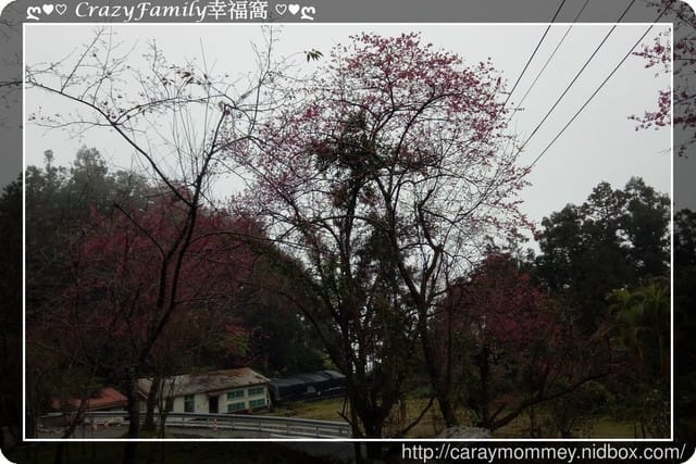├ 家庭出遊去 ┤北橫趴趴走 - 第15張圖 ├ 家庭出遊去 ┤北橫趴趴走