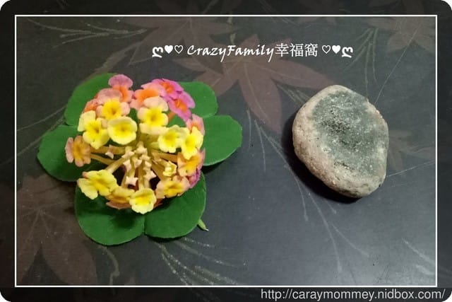 和外婆去趴趴走