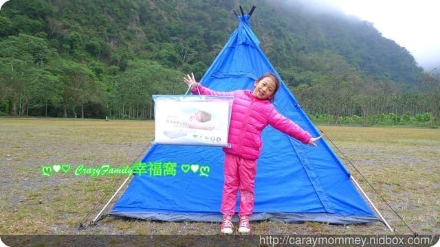 ✿ღ 育兒好物分享 ✿ღ GreySa 格蕾莎無毒環保記憶枕/兒童青少年專用/睡得好才能有好學習