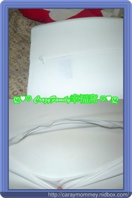 ✿ღ 育兒好物分享 ✿ღ GreySa 格蕾莎無毒環保記憶枕/兒童青少年專用/睡得好才能有好學習